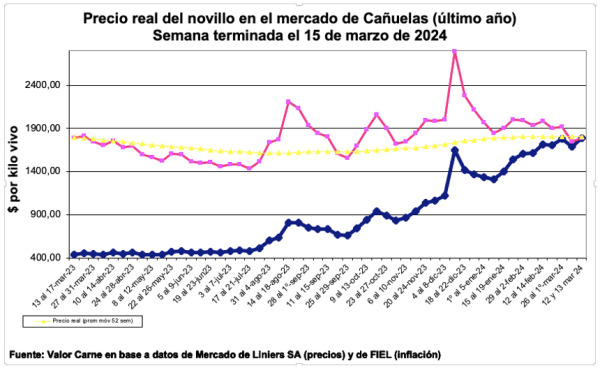 Línea rosa: precio deflacionado – Línea azul: precio corriente.
