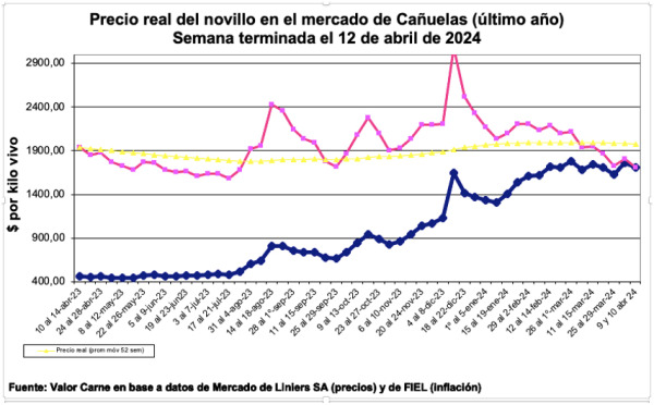Línea rosa: precio deflacionado – Línea azul: precio corriente.