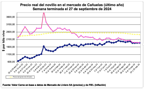 Línea rosa: precio deflacionado – Línea azul: precio corriente.
