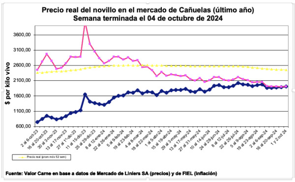 Línea rosa: precio deflacionado – Línea azul: precio corriente.