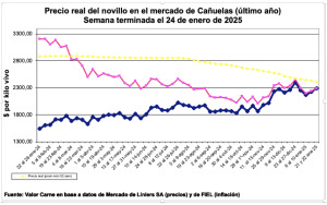 Línea rosa: precio deflacionado – Línea azul: precio corriente.