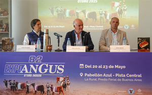 Carlos Ferández, Alfonso Bustillo y Carlos Solanet, de la Rural SA.