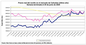 Línea morada: precio semanal ajustado a la inflación expresado en poder adquisitivo de ahora; línea azul, precio semanal nominal y línea amarilla, promedios de 52 semanas móviles en pesos de hoy